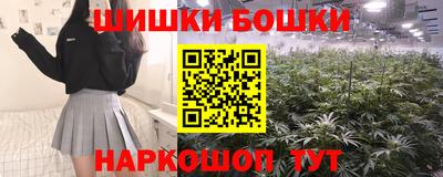скорость Бердск