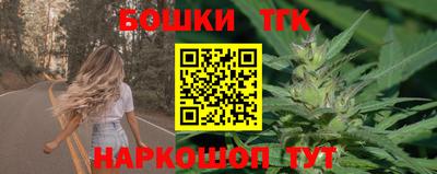 стафф Гай