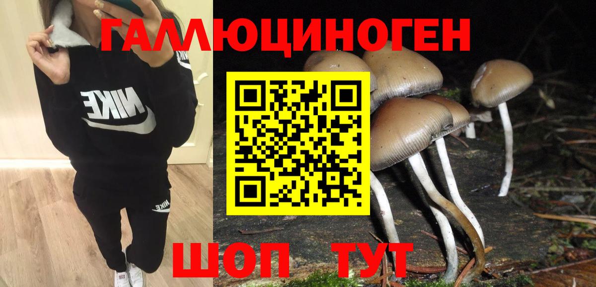 Белгород  Галлюциногенные грибы Magic Shrooms  Псилоцибиновые грибы мицелий  Вход с VPN 