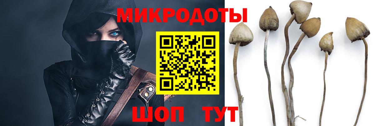 Псилоцибиновые грибы ЛСД Белгород